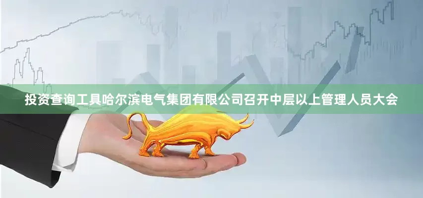 投资查询工具哈尔滨电气集团有限公司召开中层以上管理人员大会
