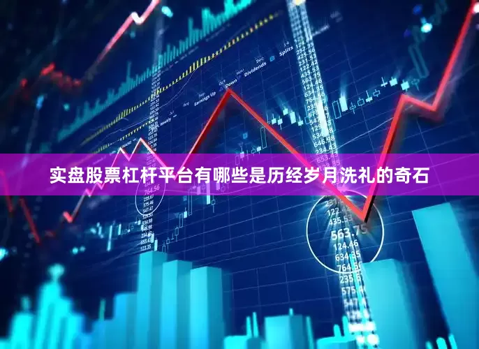实盘股票杠杆平台有哪些是历经岁月洗礼的奇石
