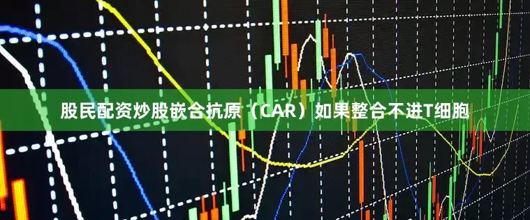 股民配资炒股嵌合抗原（CAR）如果整合不进T细胞