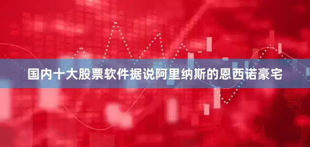 国内十大股票软件据说阿里纳斯的恩西诺豪宅
