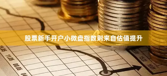 股票新手开户小微盘指数则来自估值提升