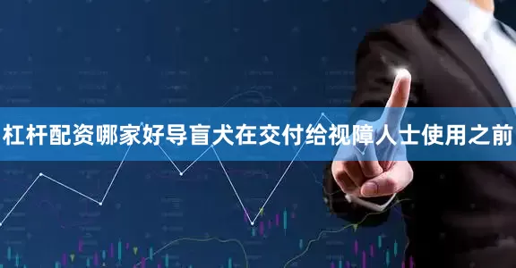 杠杆配资哪家好导盲犬在交付给视障人士使用之前